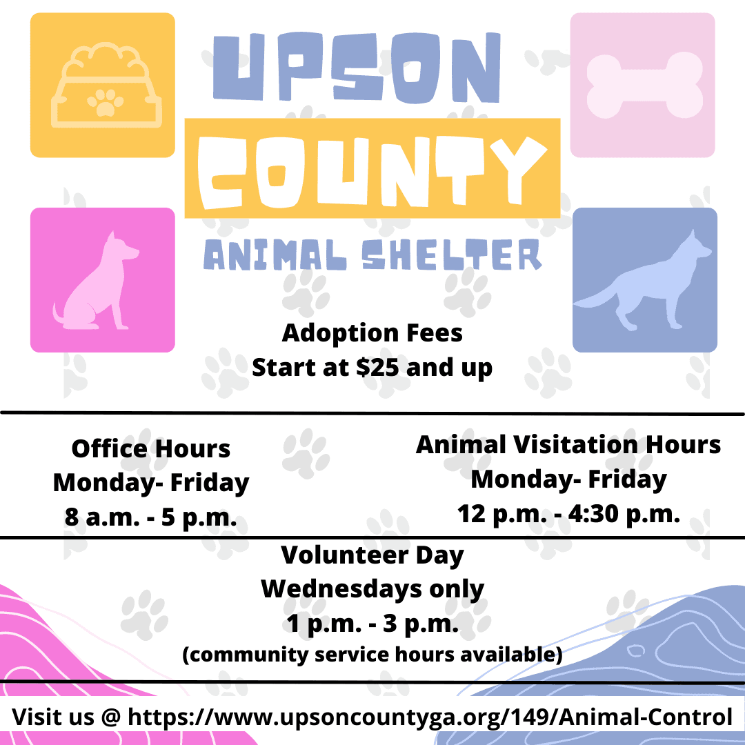 Animal Shelter