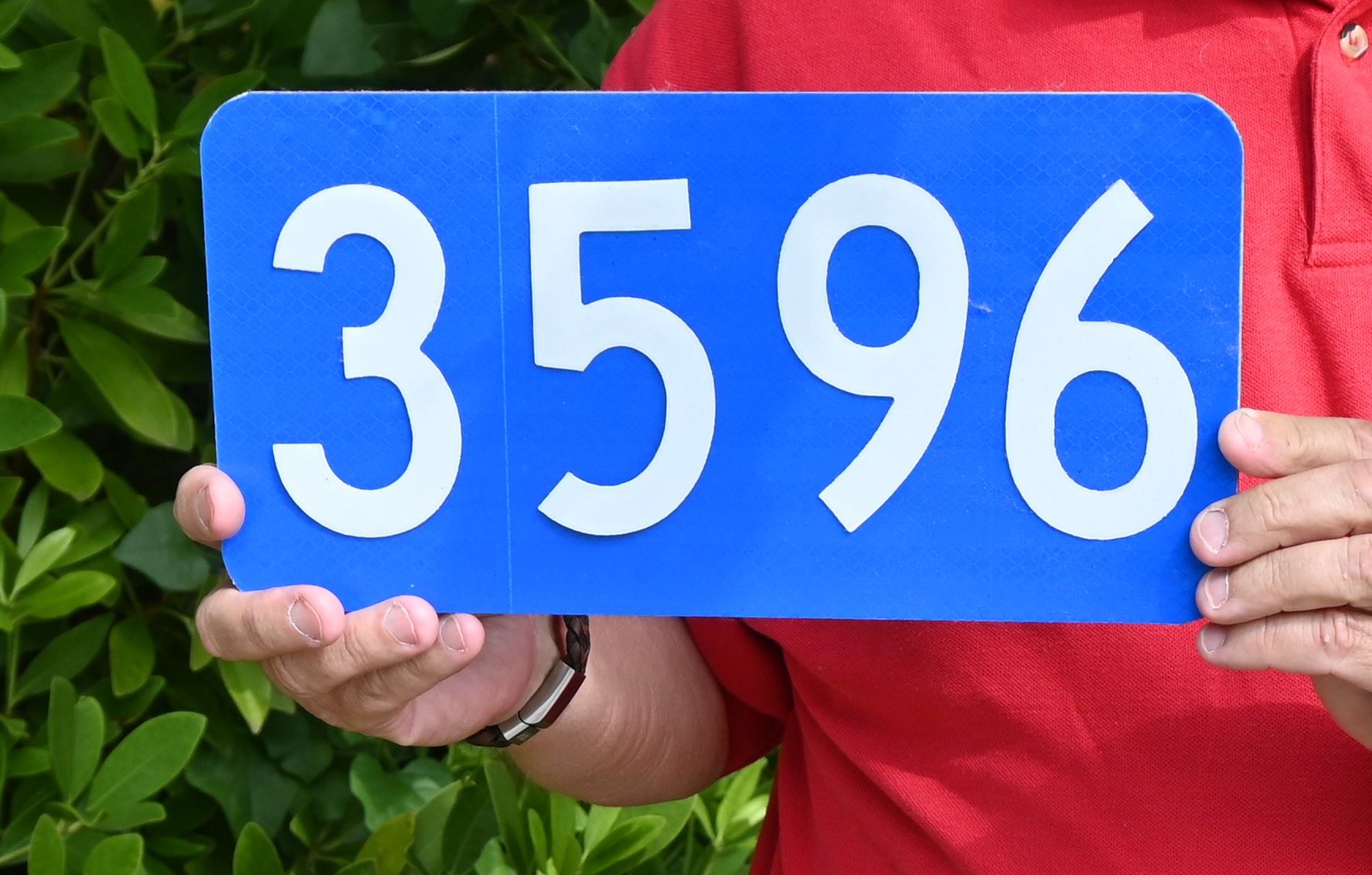Example Picture of Blue Address Sign